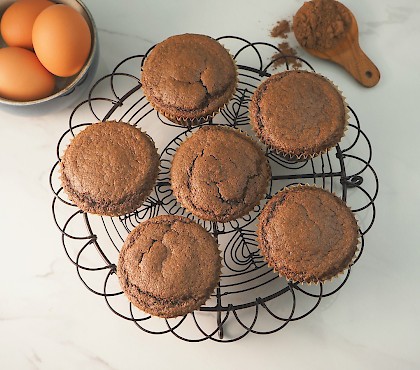 Blender Chocolate Muffins